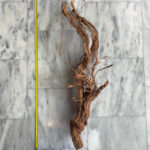 Curl Wood 9