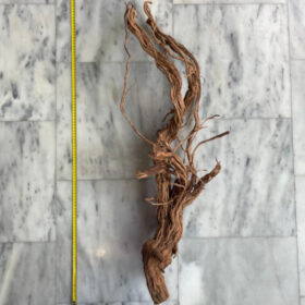 Curl Wood 9