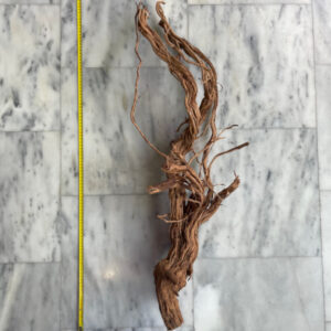 Curl Wood 9