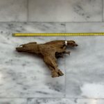 Dragon Wood 2