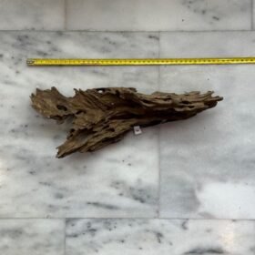 Dragon Wood 3