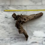 Dragon Wood 4