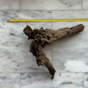 Dragon Wood 4