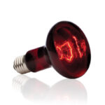 Exo Terra Infrared Basking Spot 100W.