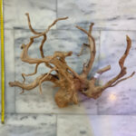 Red Moor Wood 4