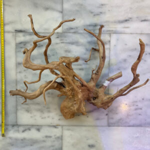 Red Moor Wood 4