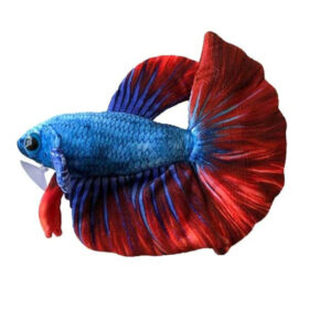 Ceramic Nature Betta Fish Plush