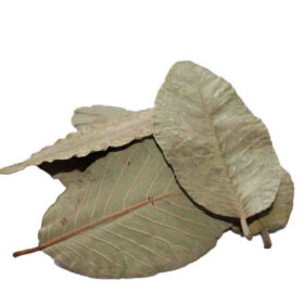 Ceramic Nature Guave Leaves x15