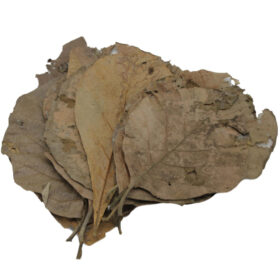Ceramic Nature Teak Leaves x10