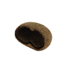 Ceramic Nature Palm Pods