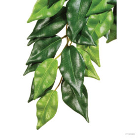 Exo Terra Ficus Medium