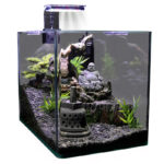 AQUA DELLA Aqua Lux LED Light - Image 2