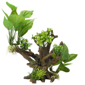 AQUA DELLA Plant Florascape 4