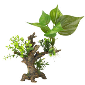 AQUA DELLA Plant Florascape 6