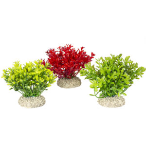 AQUA DELLA Plant Glosso S