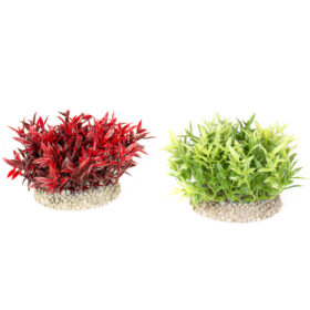 AQUA DELLA Plant Miracle Moss