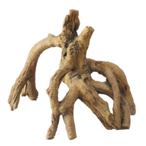AQUA DELLA Root Mangrove LM