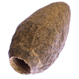 Ceramic Nature Savu Pods