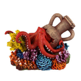 AQUA DELLA Amphora Coral 3 Multicolour