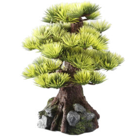 AQUA DELLA Bonsai Medio Sort C