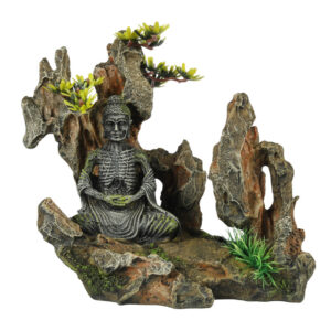 AQUA DELLA Mountain Buddha