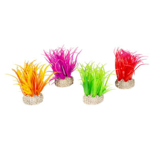 AQUA DELLA Plant Hair Grass Mixed Colours Small