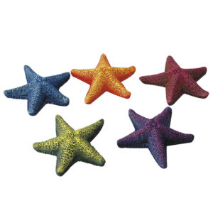 AQUA DELLA Starfish