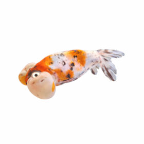 Χρυσόψαρα Calico Bubble Eye Large