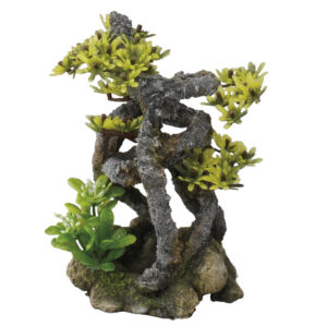 AQUA DELLA Twist Bonsai