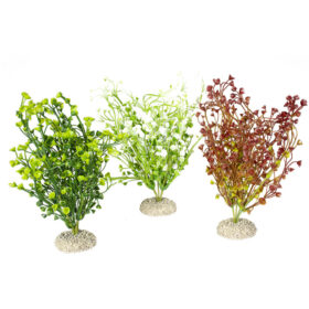 AQUA DELLA Plant Bacopa M (Mixed colours)