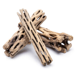 Ceramic Nature Cholla Wood 15cm