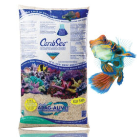 CaribSea Aragalive Special Grade LIVE Reef Sand (1-2mm) 9.07kg