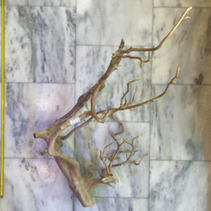 Mojave Wood 3
