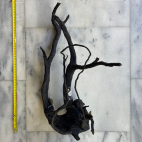 Black Moor Wood Medium 1