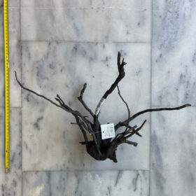 Black Moor Wood Medium 11