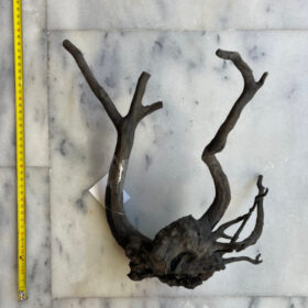 Black Moor Wood Medium 3