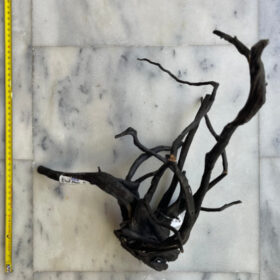 Black Moor Wood Medium 5