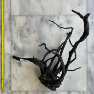 Black Moor Wood Medium 5