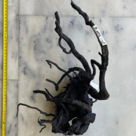 Black Moor Wood Medium 8