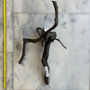 Black Moor Wood Medium 9