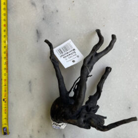 Black Moor Wood Small 14