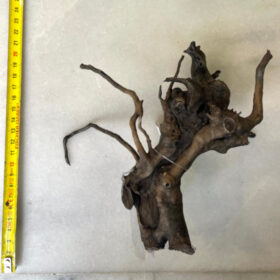 Black Moor Wood Small 16