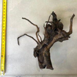 Black Moor Wood Small 16