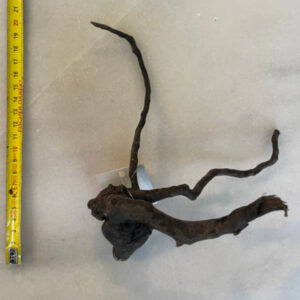Black Moor Wood Small 36