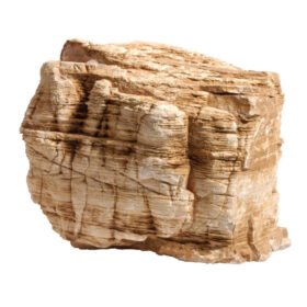 Canyon-Pagoda Rock