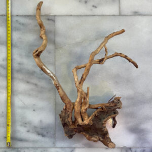 Red Moor Wood 11