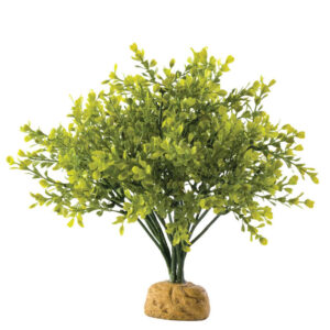 Exo Terra Boxwood Bush