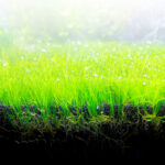 FLUVAL Bio-Stratum 2kg