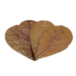 Seachem Catappa Leaves Small (12 pack)