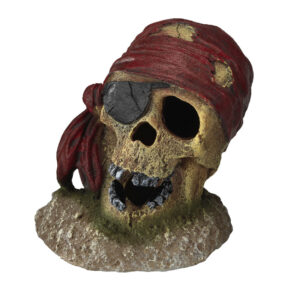 AQUA DELLA Pirate Skull